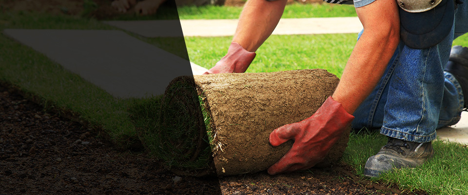 Neillsville Landscapers